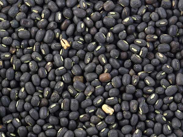 Black Gram / Urad