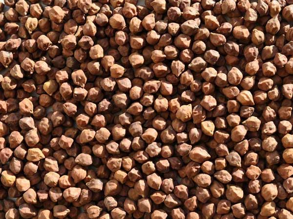 Desi Chickpeas
