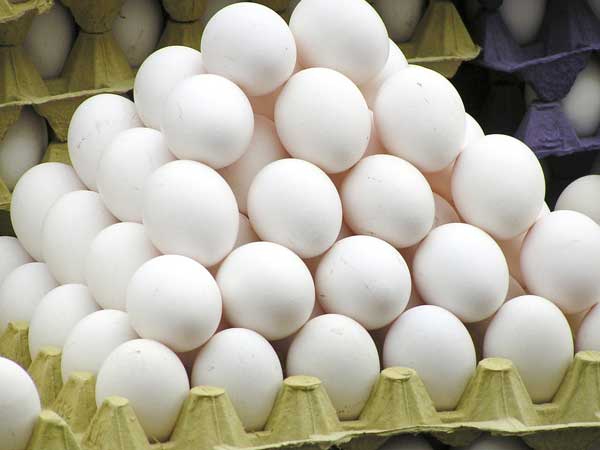 Eggs