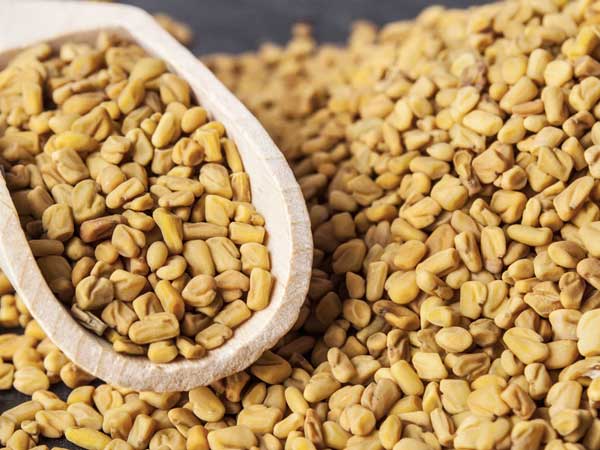 Fenugreek/Methi Seeds