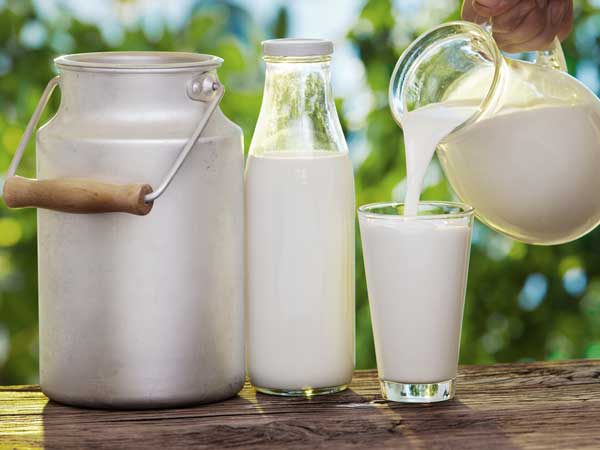 Milk