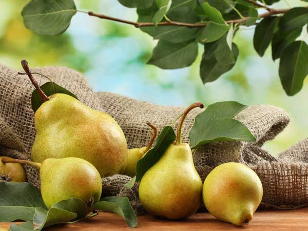 Pear