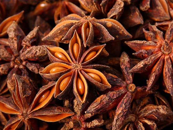 Star Anise